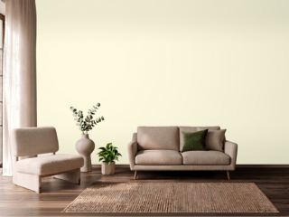 Benjamin Moore Crème Brulee 2022-70 on a wall