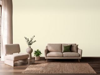 PPG Soft Cream 1205-2 on a wall
