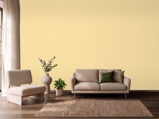 Sherwin-Williams Butter Up SW 6681 on a wall