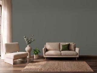 Sherwin-Williams Cast Iron SW 6202 gray paint, north light in a living