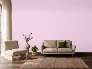 Valspar Pink Odyssey 1001-2B on a wall