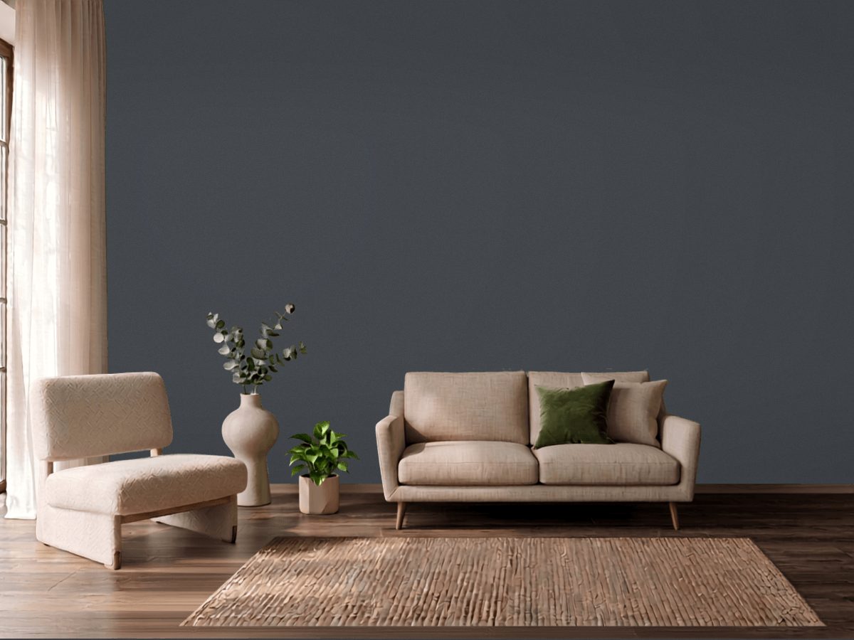 Sherwin-Williams Cyberspace SW 7076 on a wall, hex #44484D